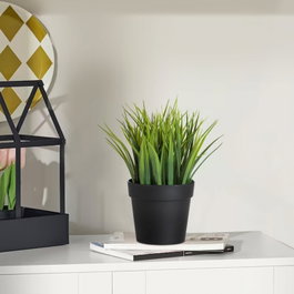Aberto Design Maceta Decorativa Negro y Verde